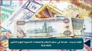 قفزة جديدة.. صدمة في سعر الدولار والعملات الأجنبية اليوم الإثنين 18-8-2025